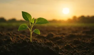 Hayat ile ilgili Kompozisyon