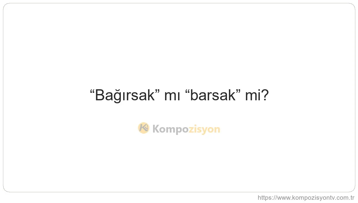 Bağırsak Nasıl Yazılır? TDK'ye Göre Doğru Yazımı